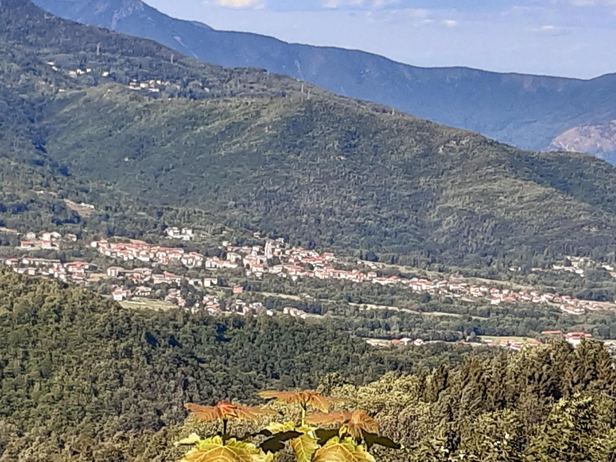 Grazioso Bilocale Merlino, Luminoso Con Vista Santuario, Wifi Giaveno Exterior foto